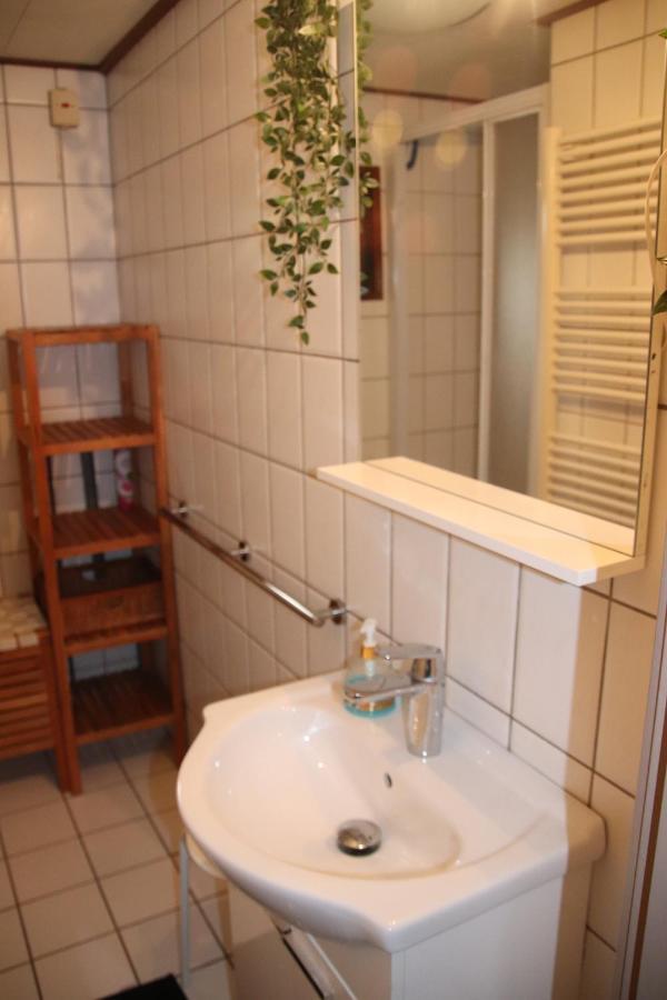 Veluwe Park Reewold Chalet Talisman พุทเทิน ภายนอก รูปภาพ